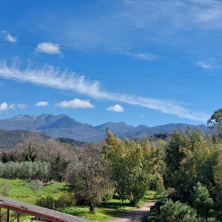 Agriturismo La Petrosa Ceraso Buitenkant foto