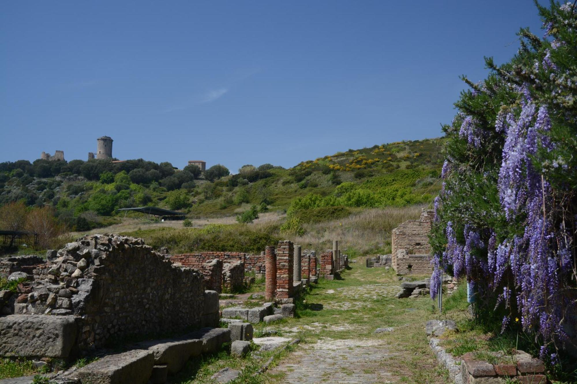 Agriturismo La Petrosa Ceraso Buitenkant foto