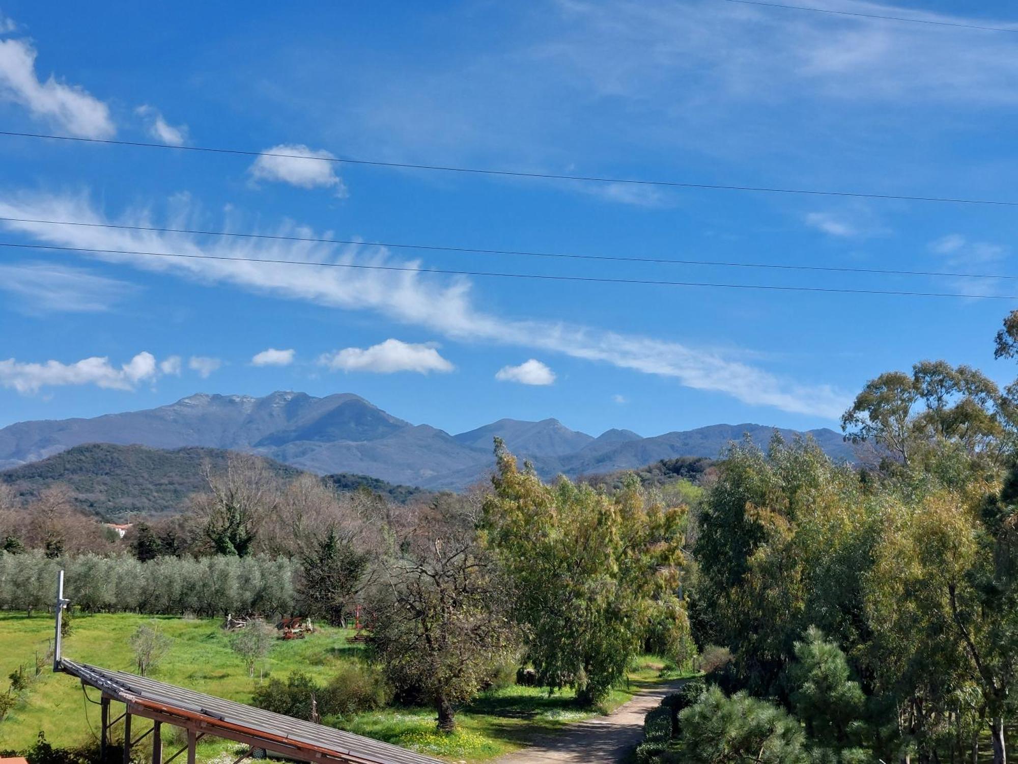 Agriturismo La Petrosa Ceraso Buitenkant foto